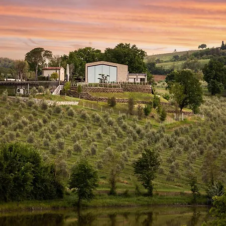 Country House Oliveto sul Lago-2